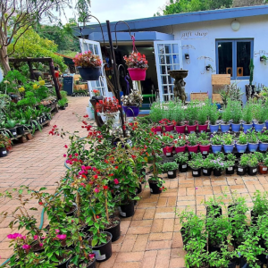 Hermanus Hardware - Hermanus, Western Cape (Instagram Post) (5)